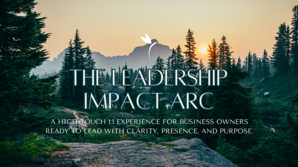 The Leadership Impact Arc – website banner